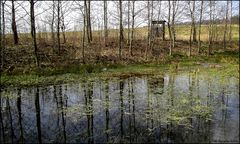 Als es noch genügend Wasser gab...