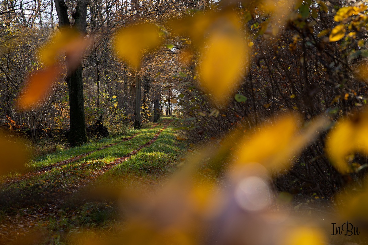 Als es noch Herbst war......