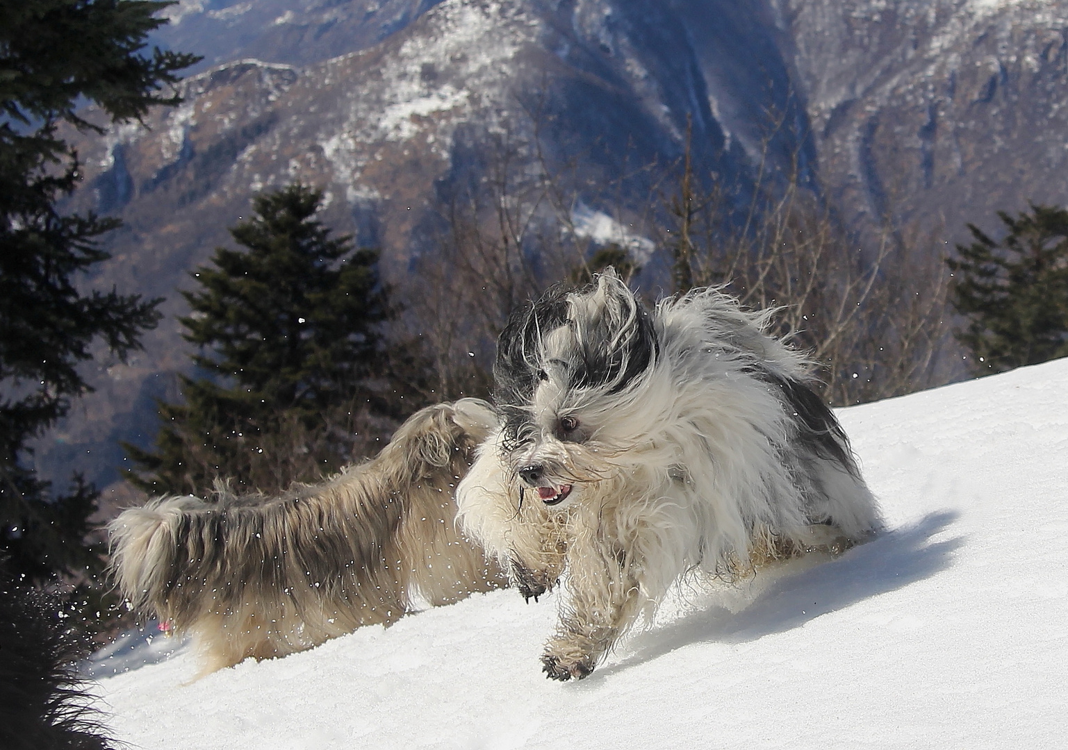 Als es noch Schnee gab