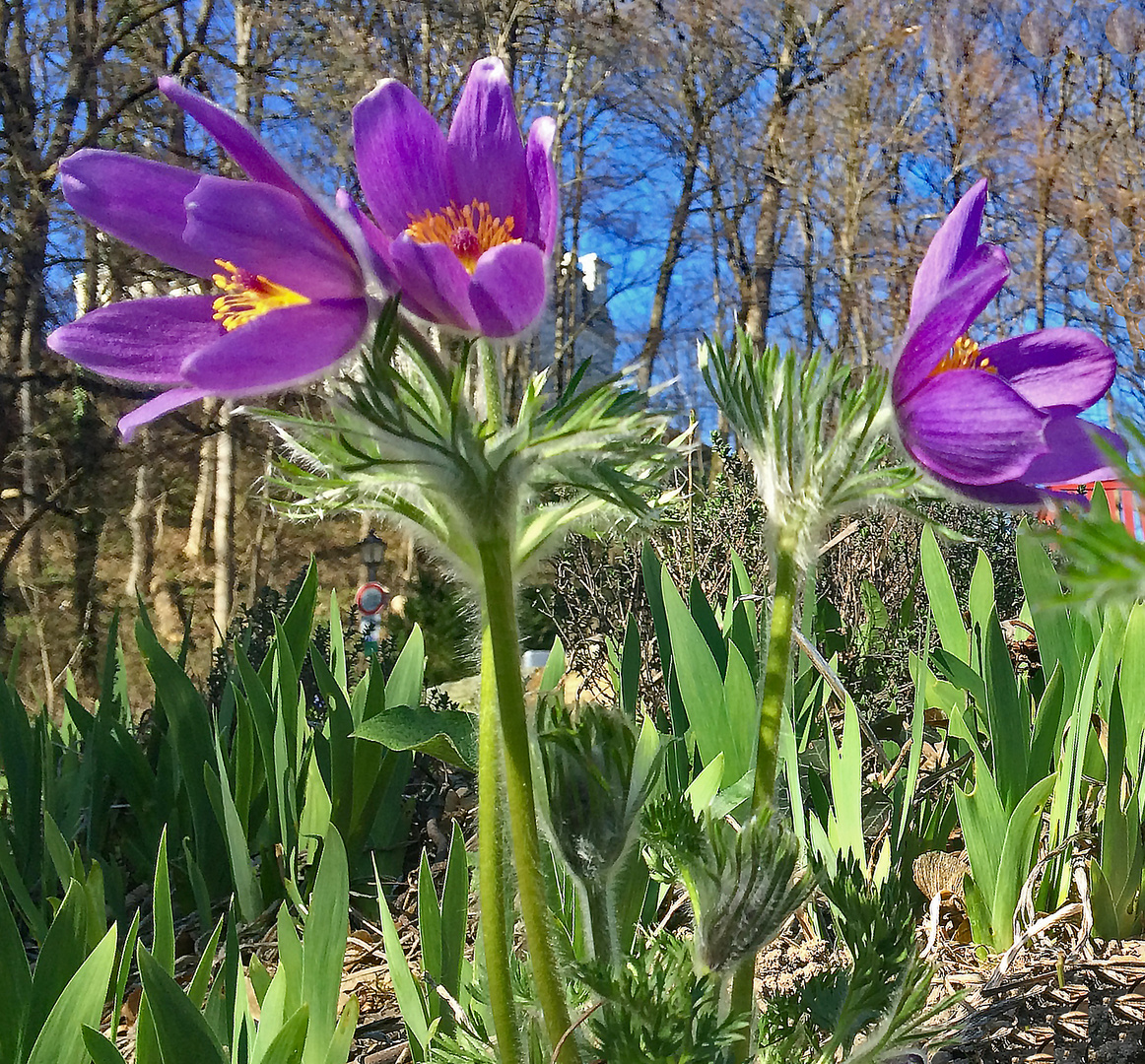 als es noch schönes Wetter gab