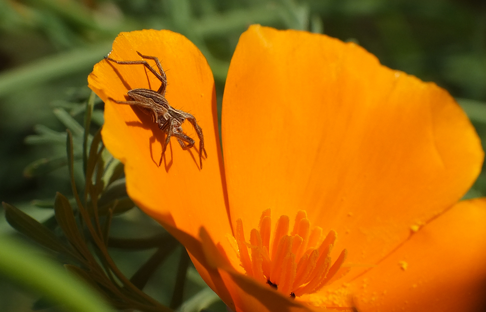 Als es noch Sommer gab ...