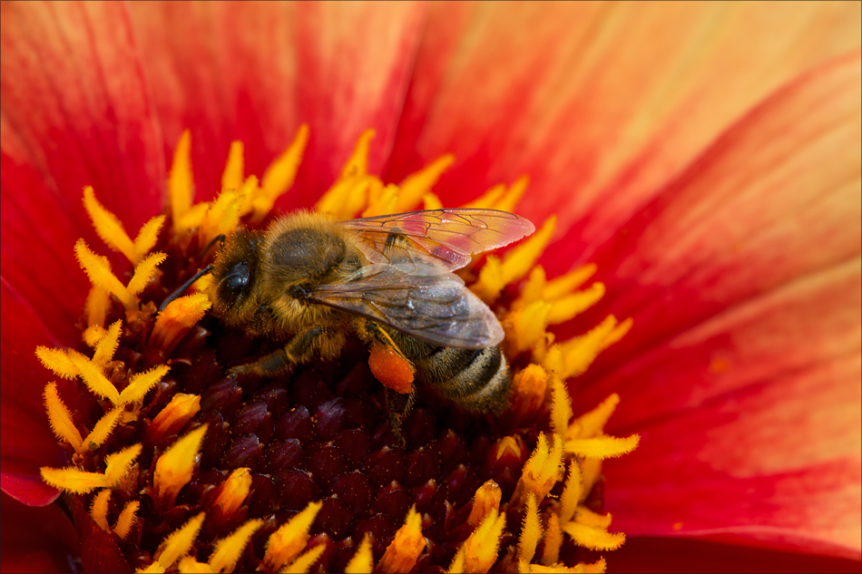 Als es noch Sommer war