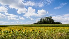 Als es noch Sommer war