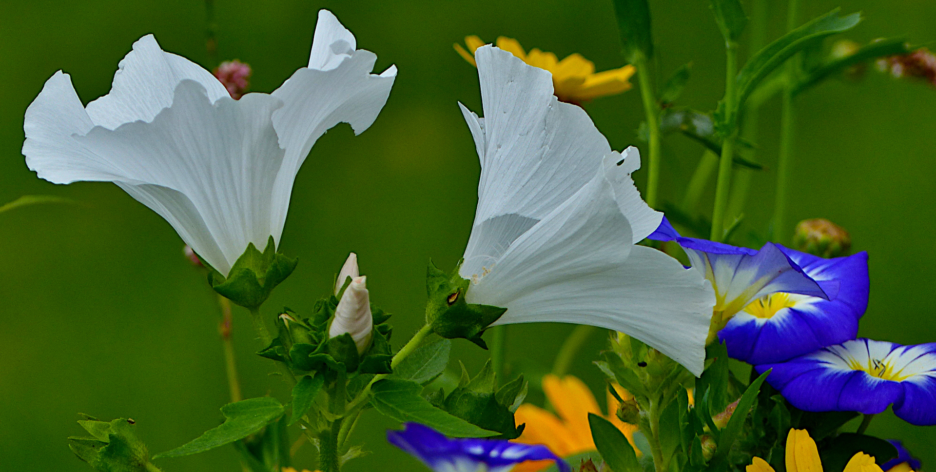 Als es noch Sommer war