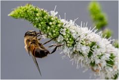 als es noch Sommer war