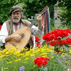 Als es noch Sommer war : Ein Straßenmusikant im Augsburger Hofgarten.