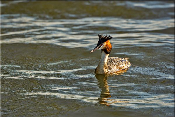Als es noch Sonne gab ;-)