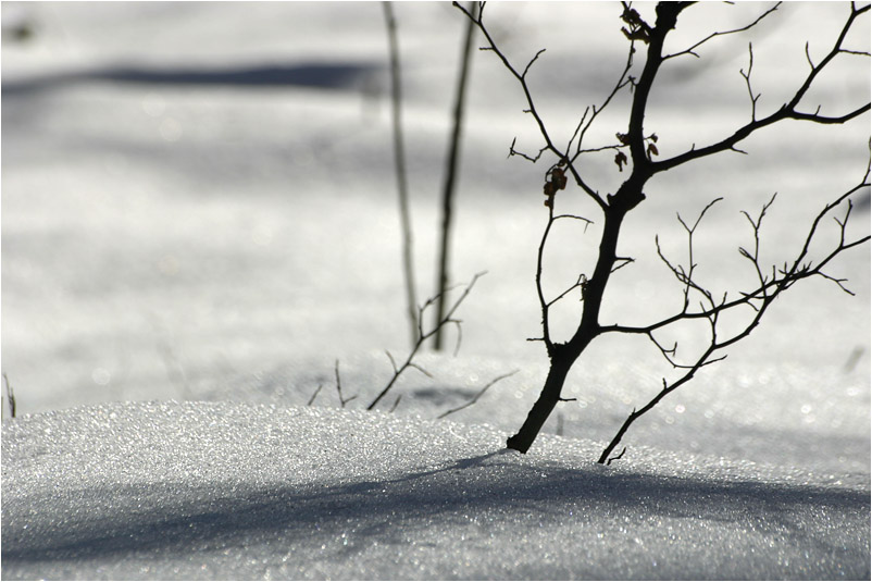 als es noch Winter gab