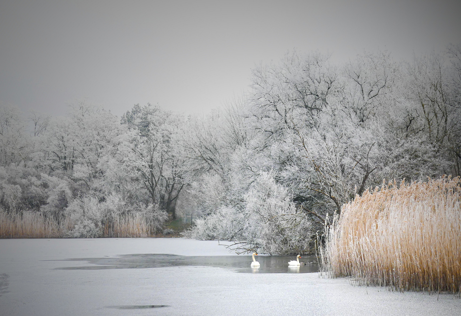 Als es noch Winter war