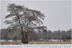 als es noch Winter war