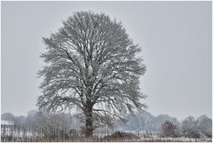 als es noch Winter war