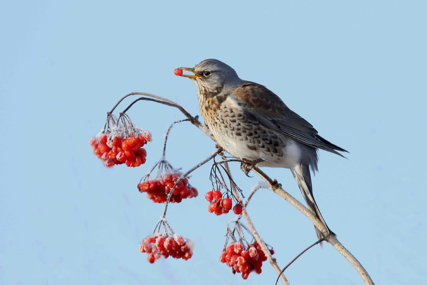 Als es noch Winter war