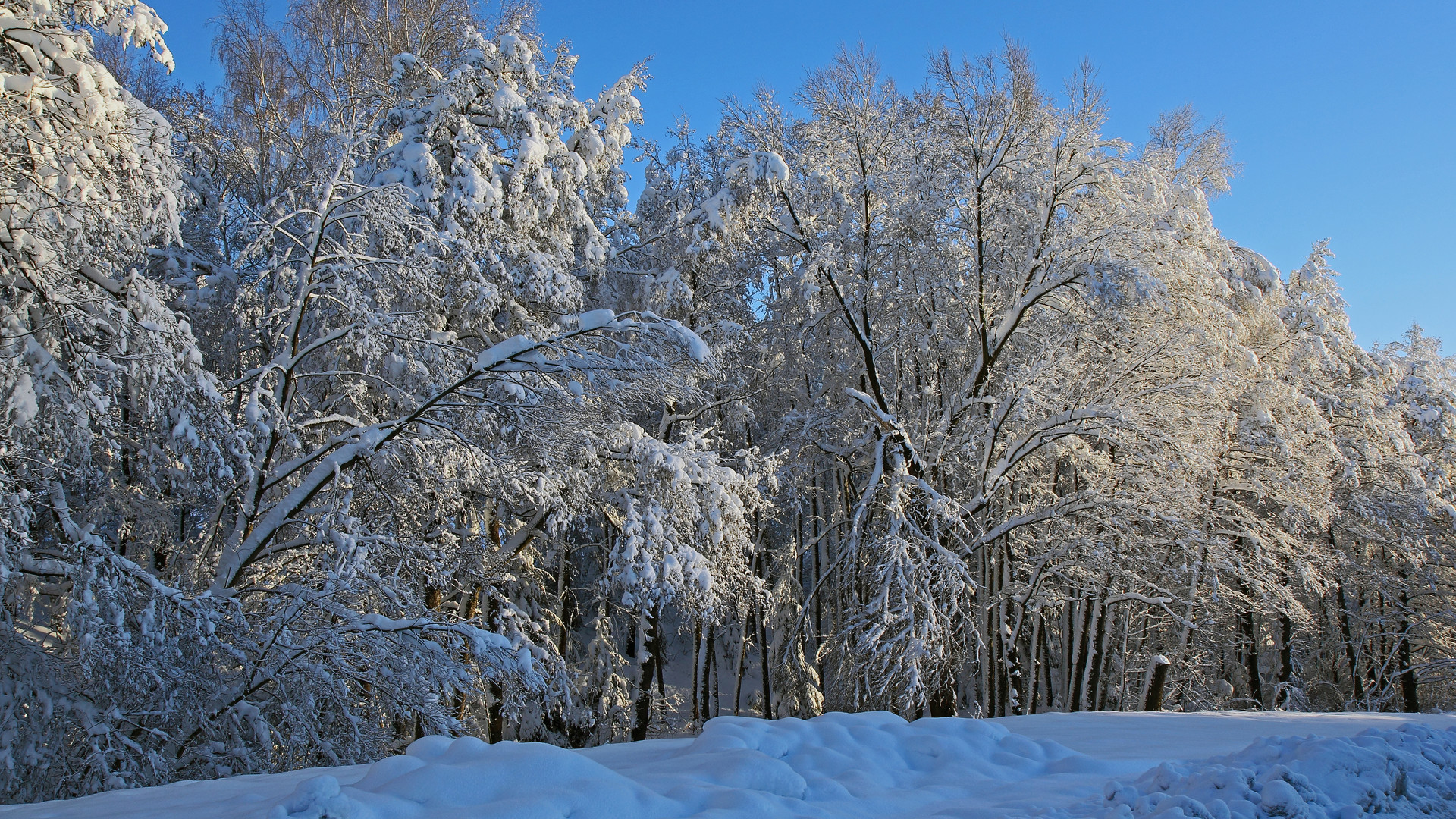 Als es Sylvester noch Schnee gab...