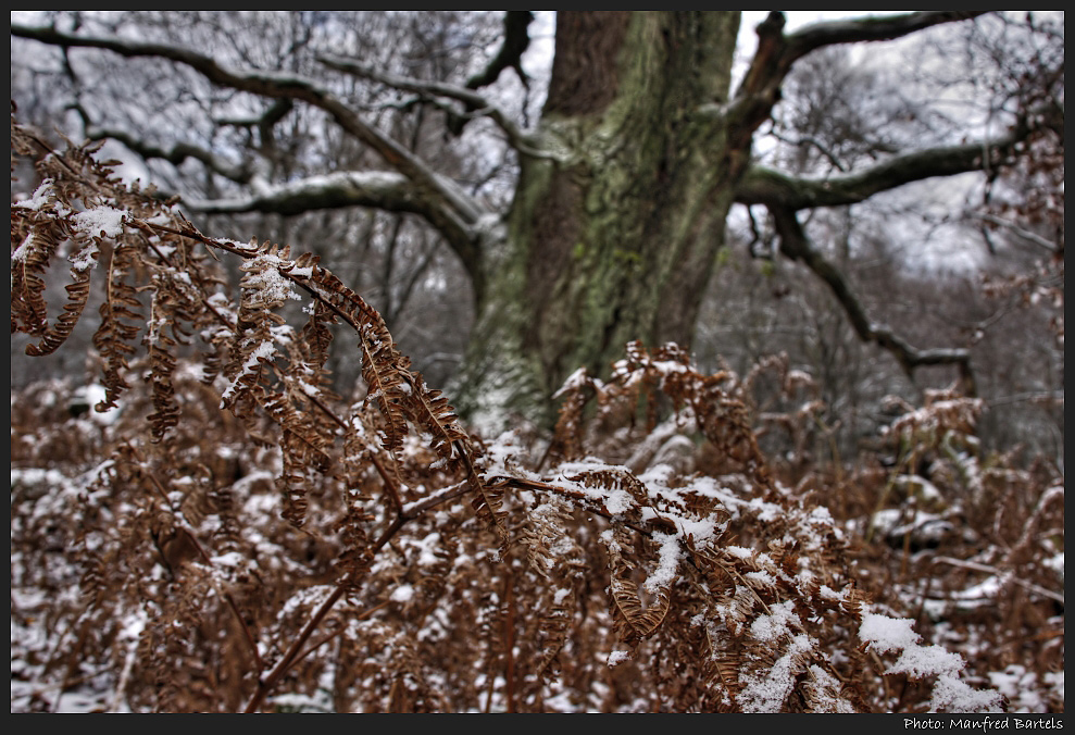 Als für einen Moment Winter war...