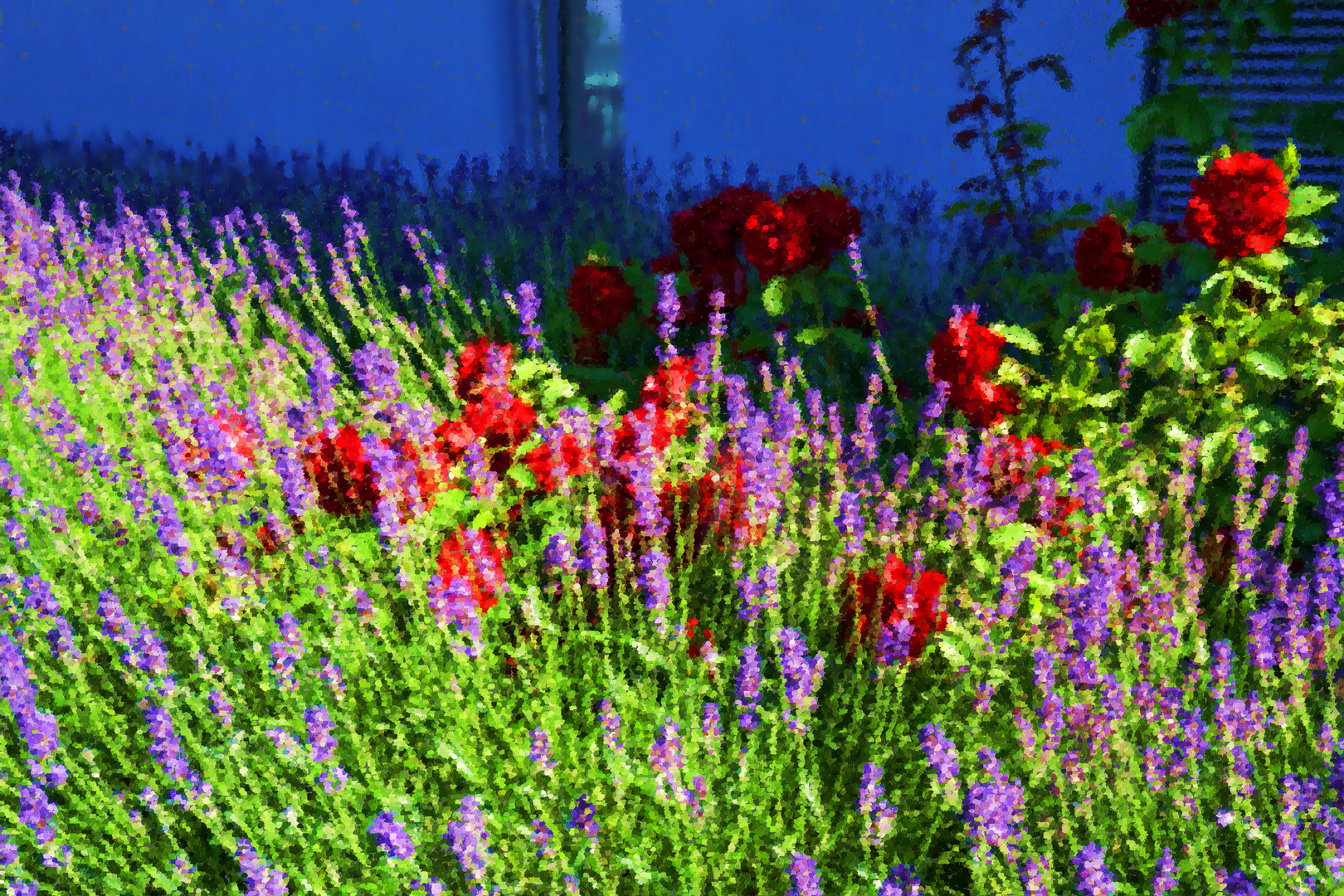 Als heutiges Mittwochsblümchen Rosen und Lavendel