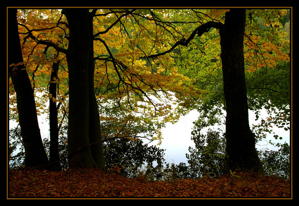 Als ich am See entlang spazierte