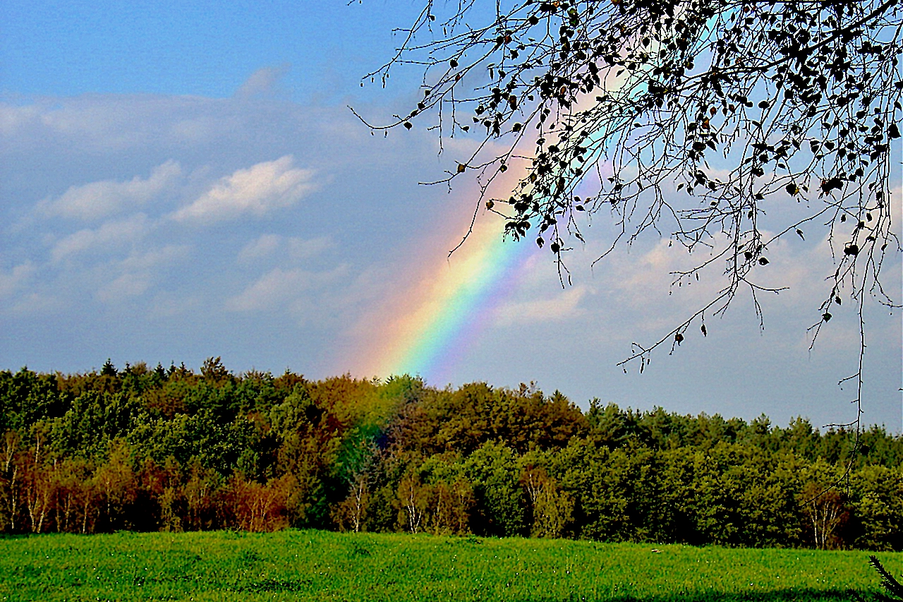 Als ich zum Regenbogen ging...