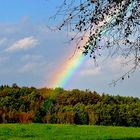 Als ich zum Regenbogen ging...