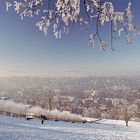 Als kleiner Ansporn für den Winter