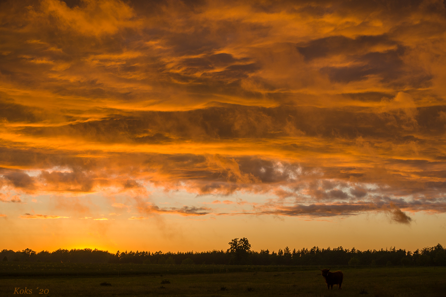 als Mamertus kam Foto & Bild jahreszeiten, himmel, frühling Bilder