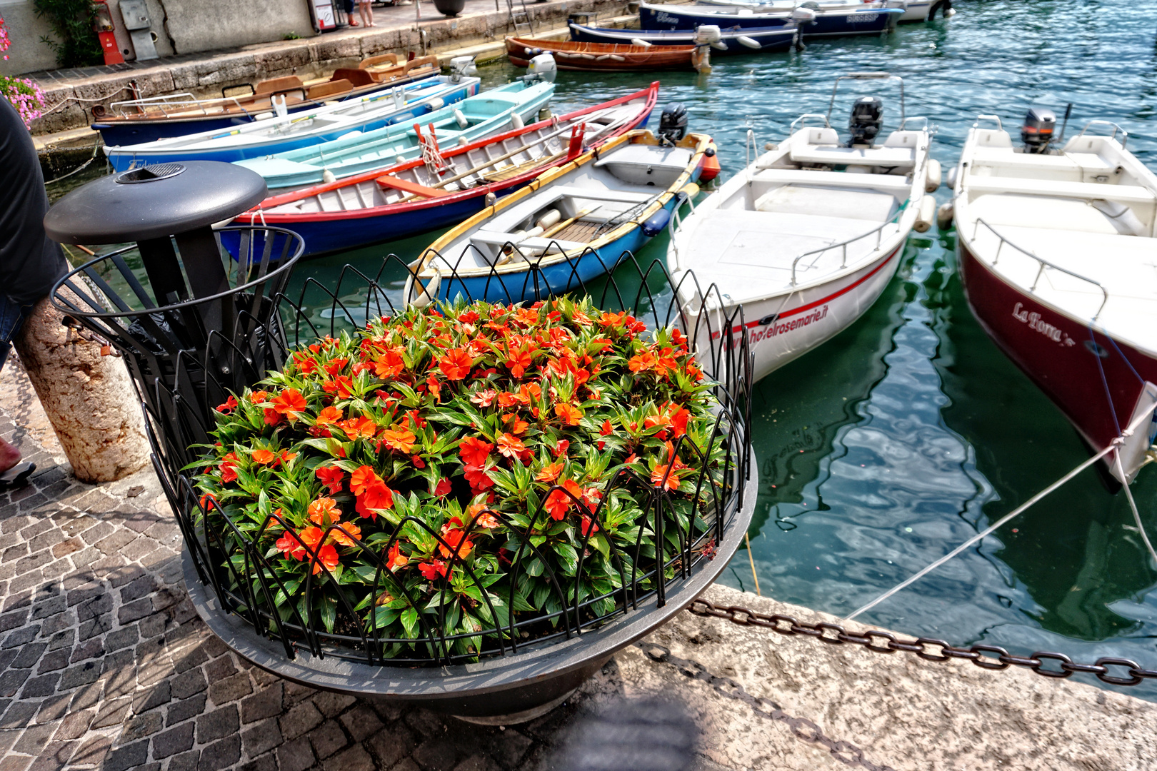 Als Mittwochsblümchen  - Blumenpracht aus Limone sul Garda in Italien