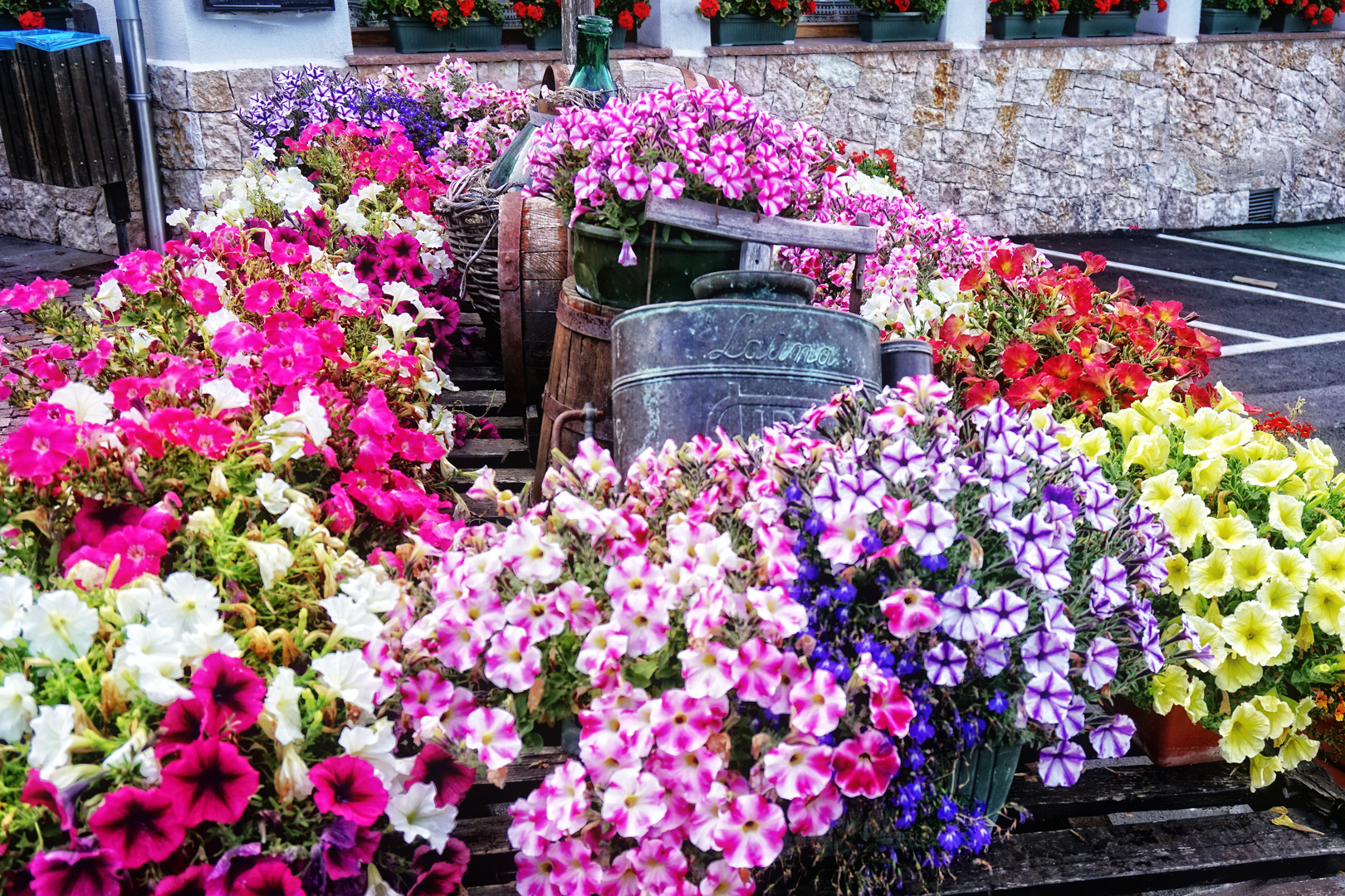 Als Mittwochsblümchen - Blumenpracht  in Italien