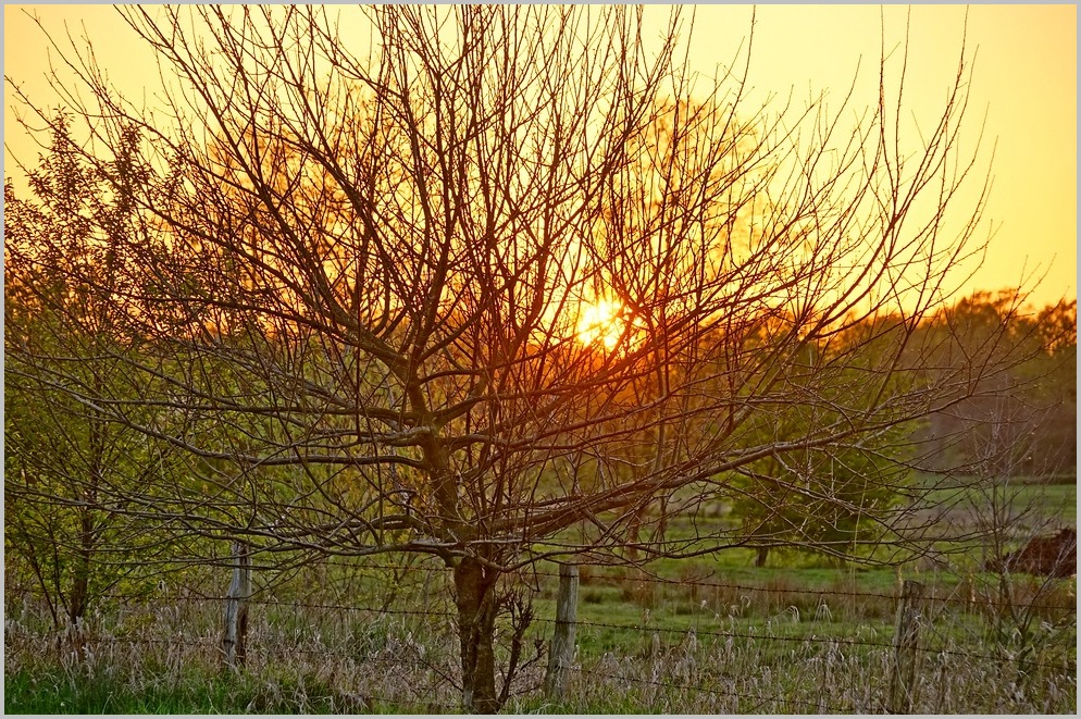 als noch Frühling war