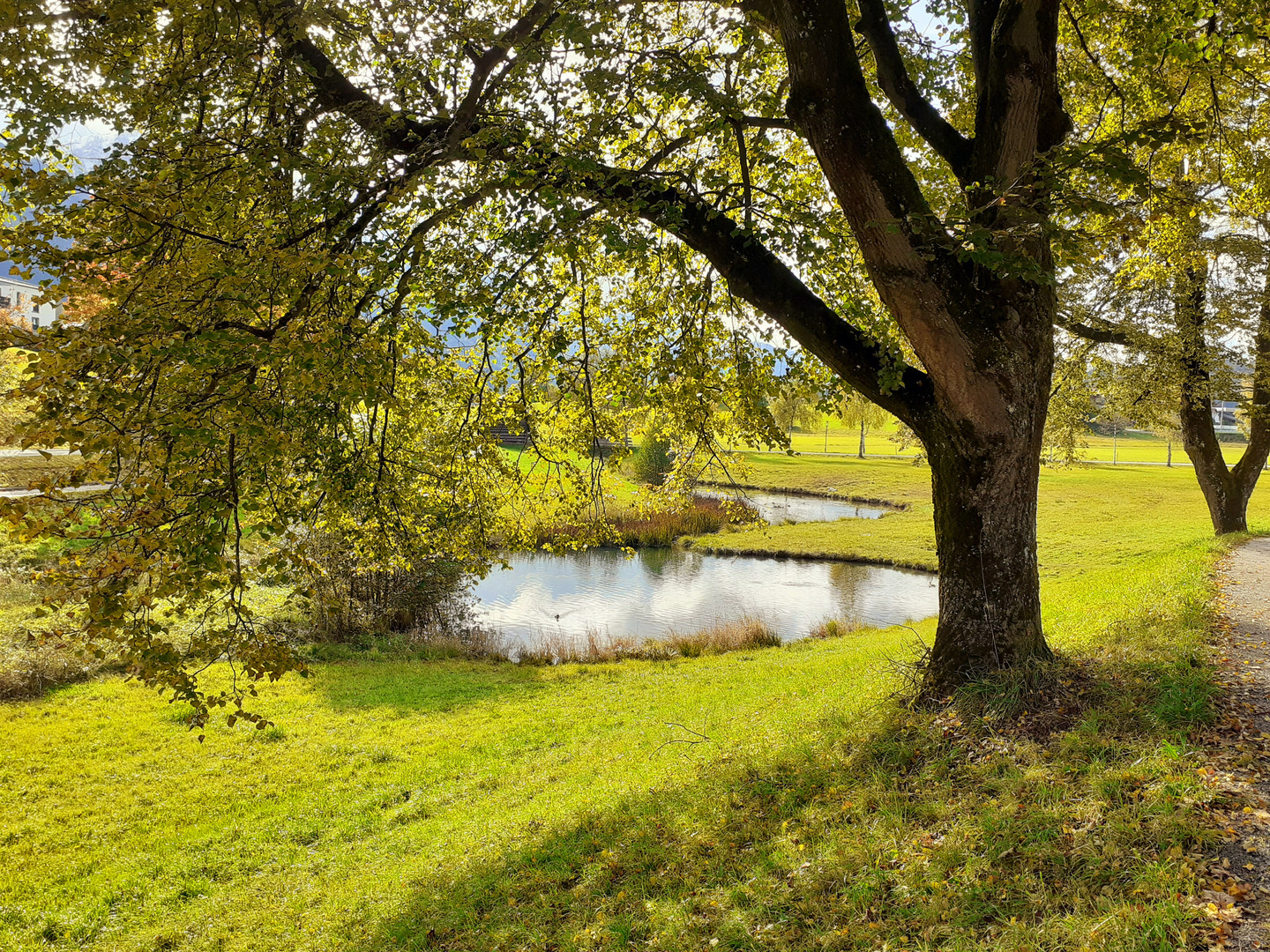 Als noch Herbst war...2