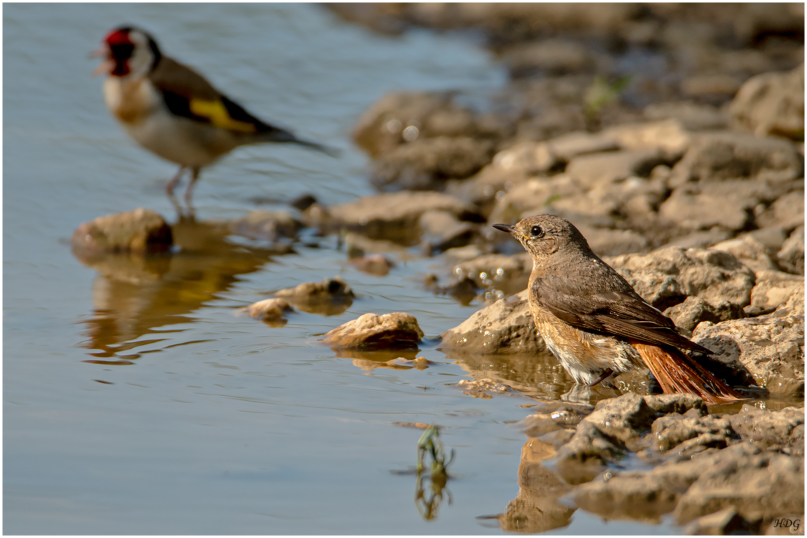 Als noch Wasser (11) ..