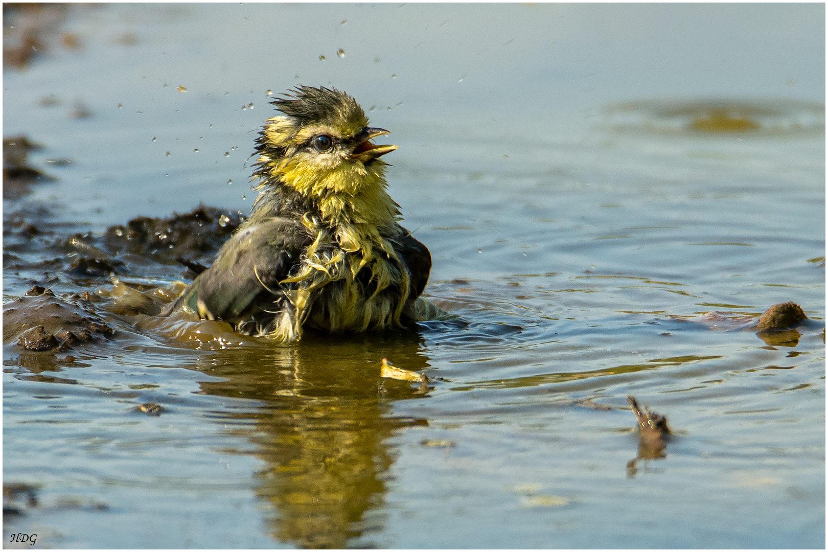 Als noch Wasser ...