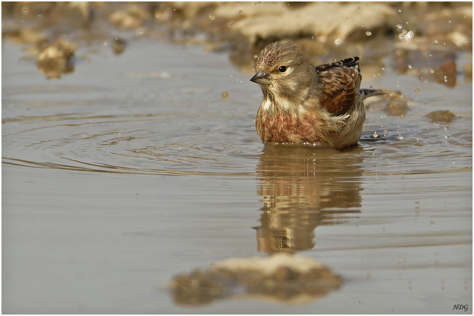 Als noch Wasser (5) ... 