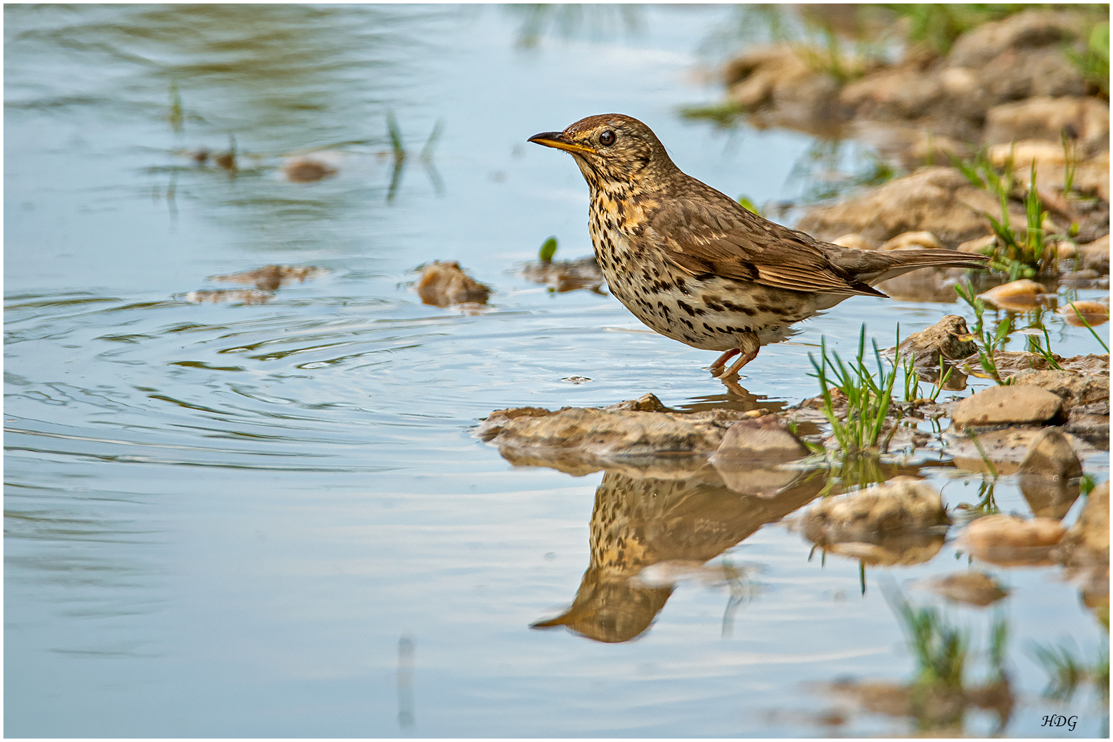 Als noch Wasser (8) ... 