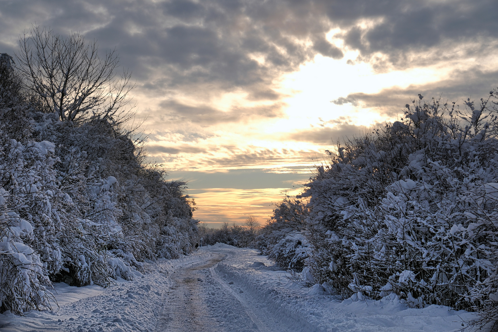 " als noch Winter war "