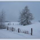 als noch Winter war