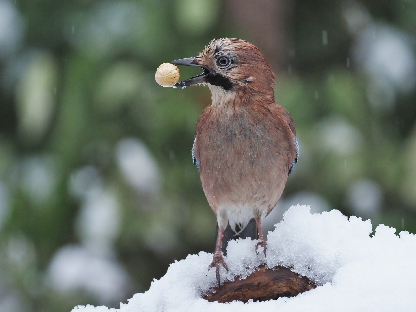 Als noch "Winter" war....