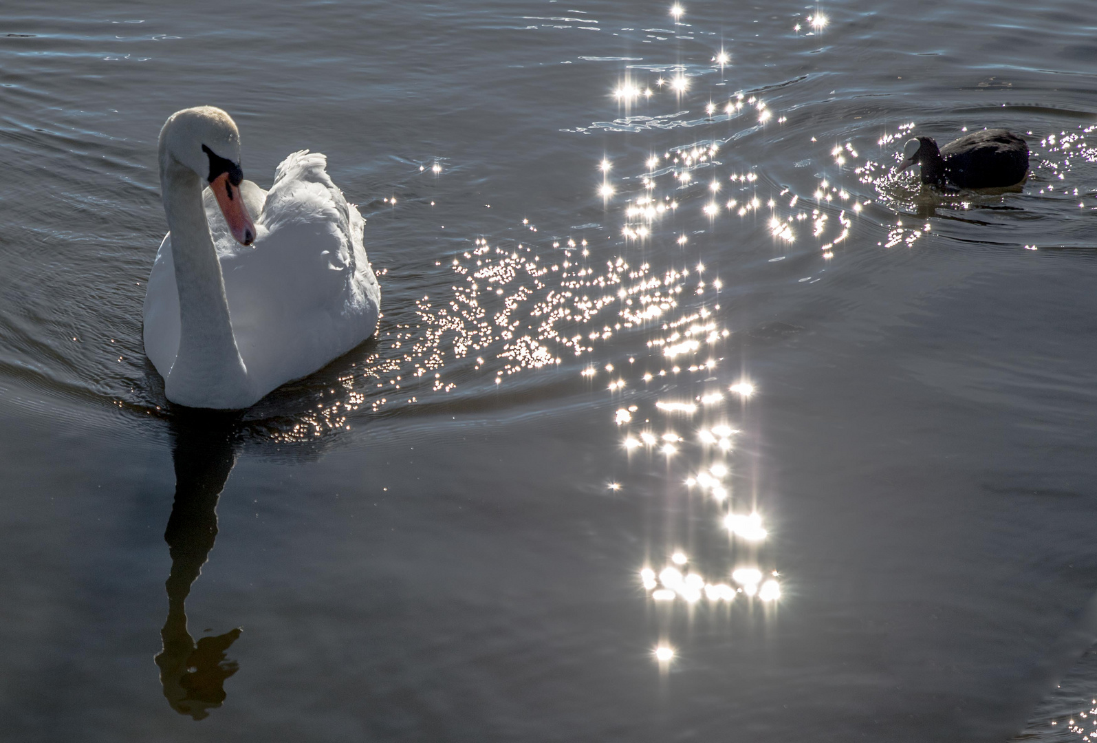 Als ob die beiden die glänzenden Sterne im Wasser bewundern