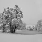 Als ob die Welt schlafen geht...