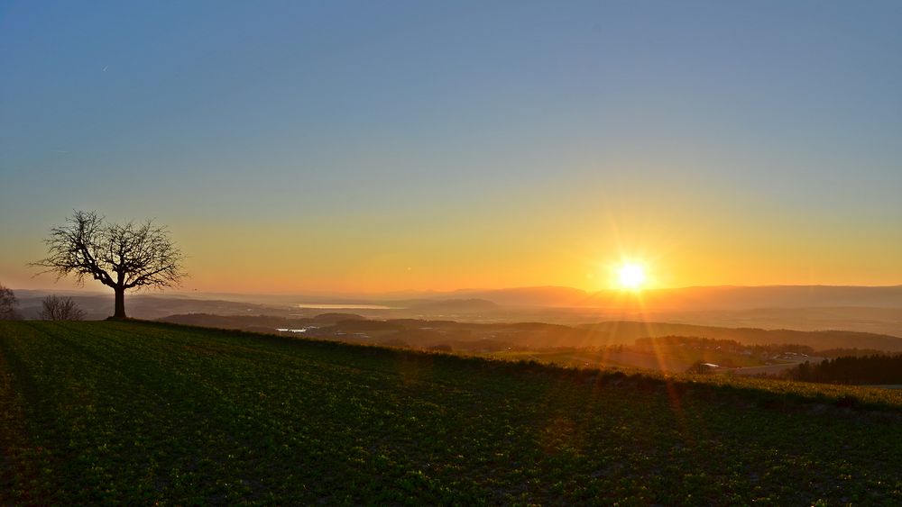 ....als ob es schon Sommer wär....