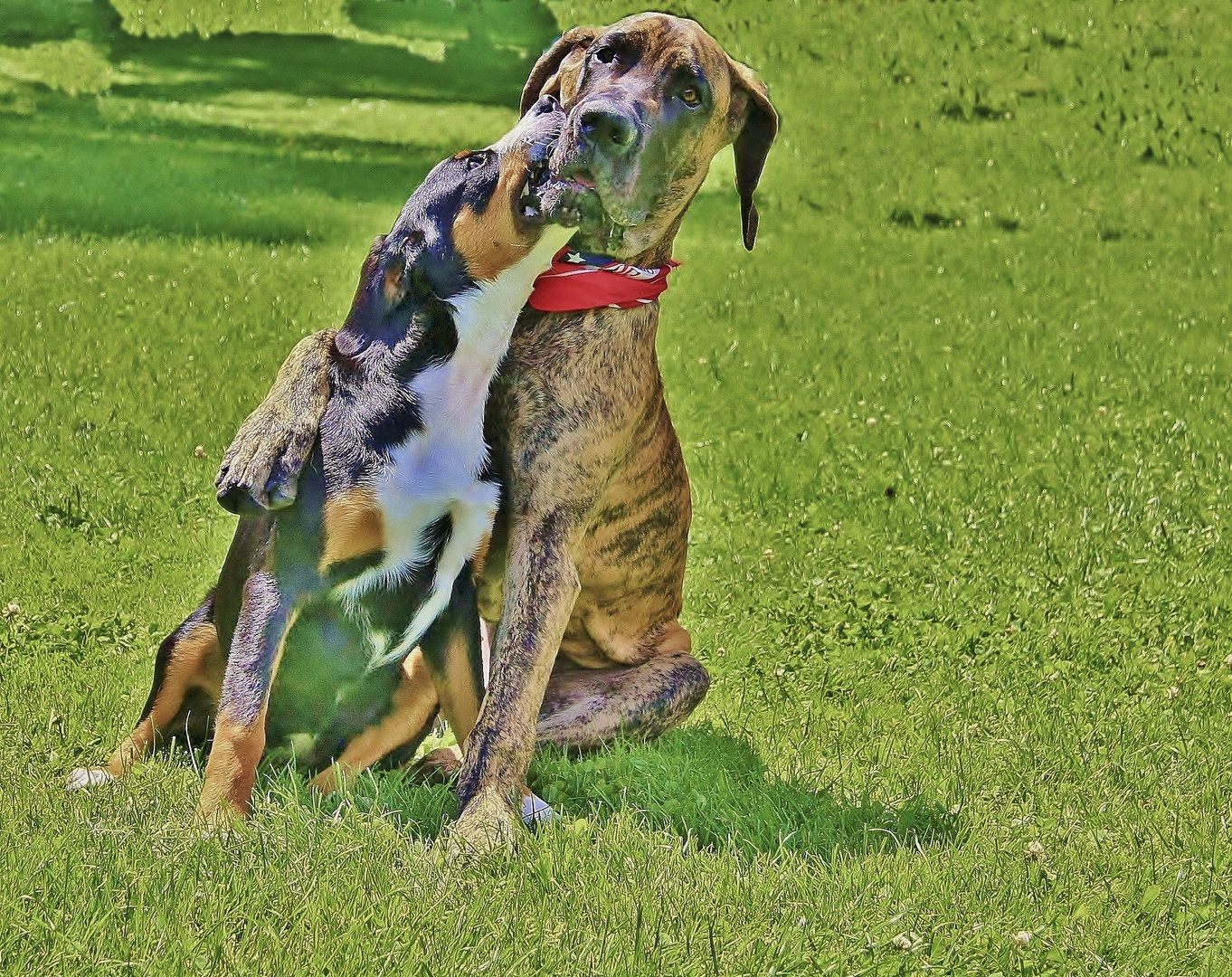 Als Poster Foto & Bild | tiere, tierfreundschaften, natur Bilder auf  fotocommunity