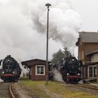 Als Schönfeld-Wiesa noch einen Bahnhof hatte.