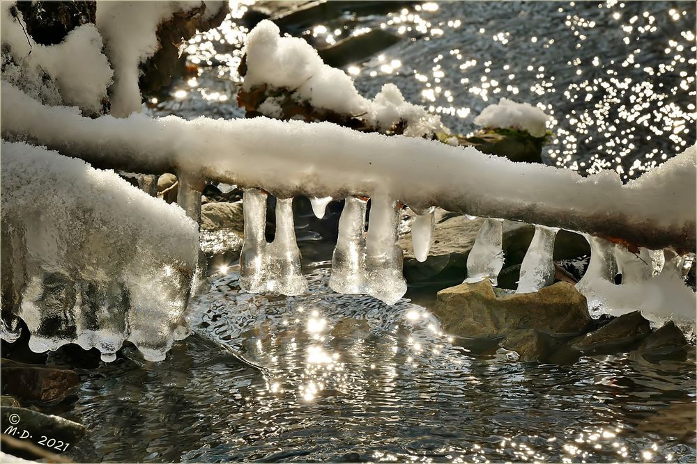 Als sich der Winter winterlich zeigte ...