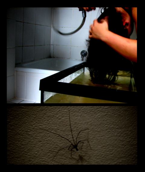 Als sie die Spinne an der Decke der Dusche sah..