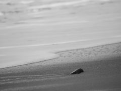 Als Strandgut spielst Du mit mir. .ich spüre Dich. .Du bist mir nah. ..aber immer nur auf Zeit. .