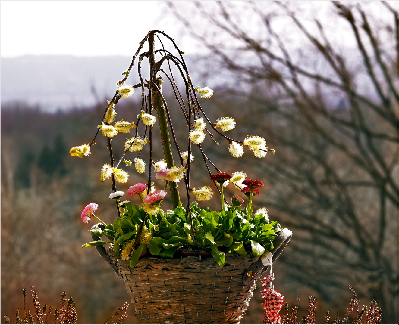 Als ultimatives Mittel gegen den Winter im Frühling...