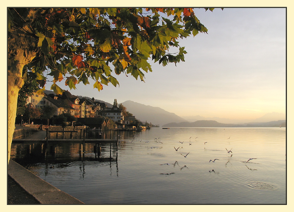 als wär’s im Tessin... gestern am Zugersee