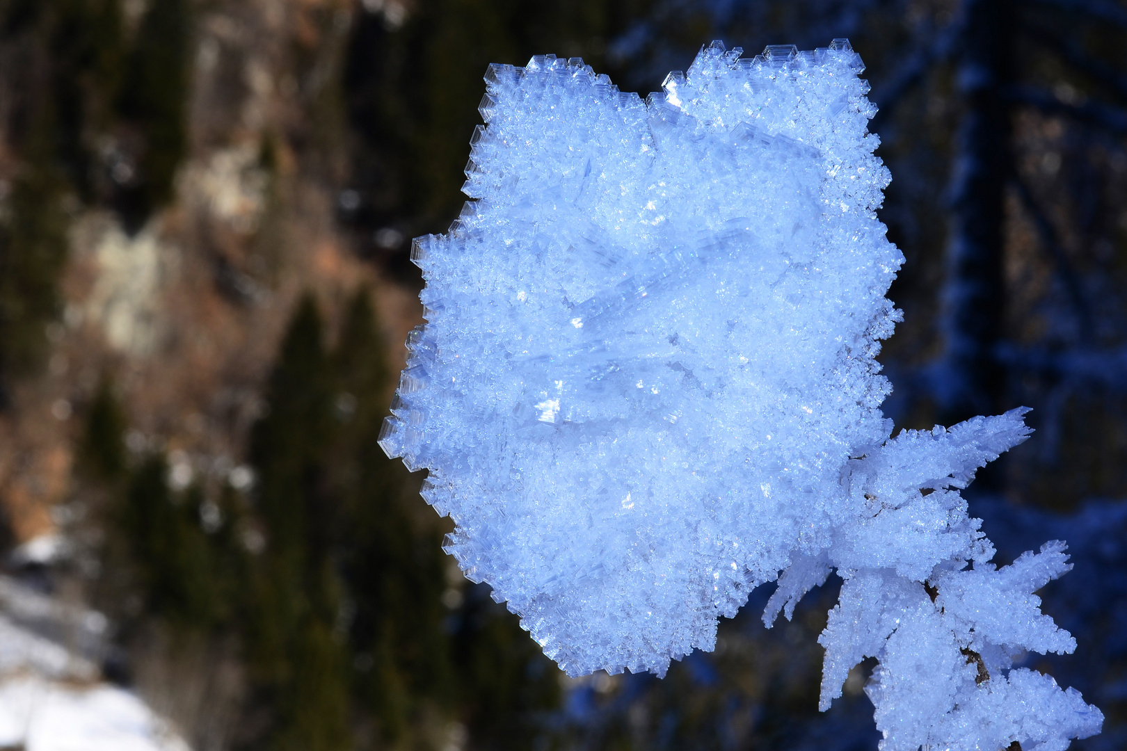 Als wär´s ne Rose aus Eiskristall