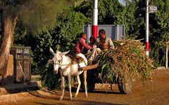 als wir abends nach hause gefahren wurden von unseren privatfahrer, wir waren in abydos