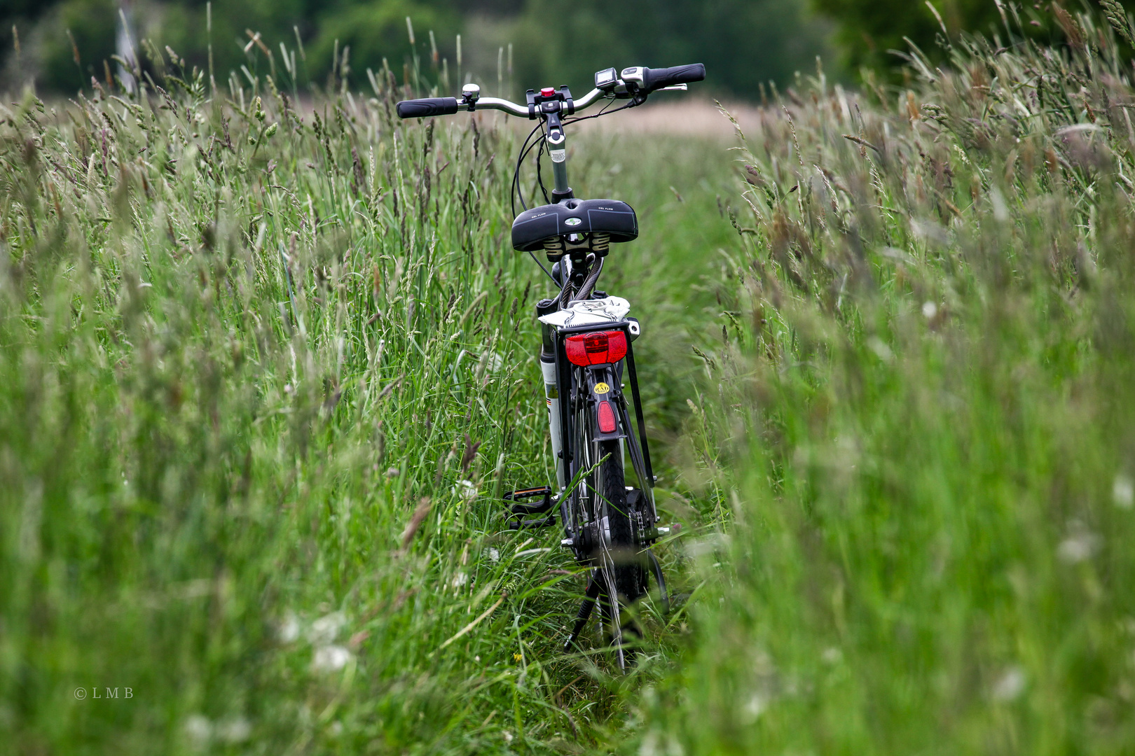 Als wir das Gras noch wachsen hörten