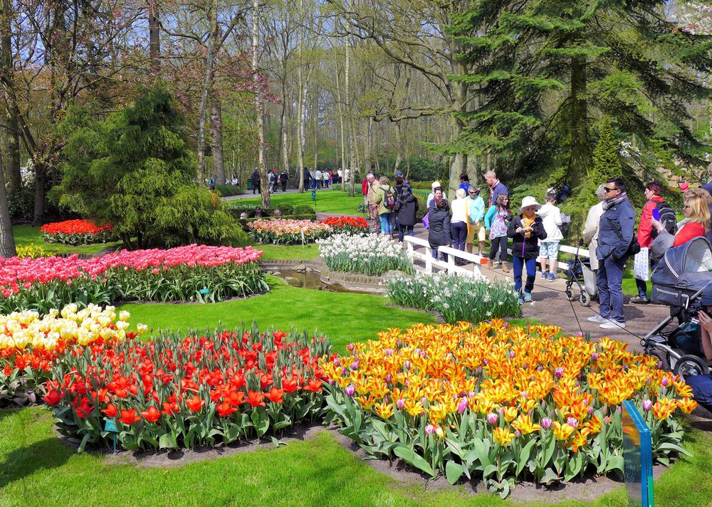 Als wir noch den Keukenhof besuchen konnten 1