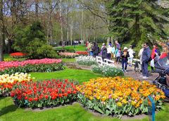 Als wir noch den Keukenhof besuchen konnten 1